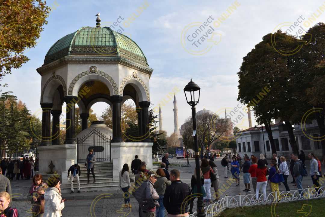 Image_18