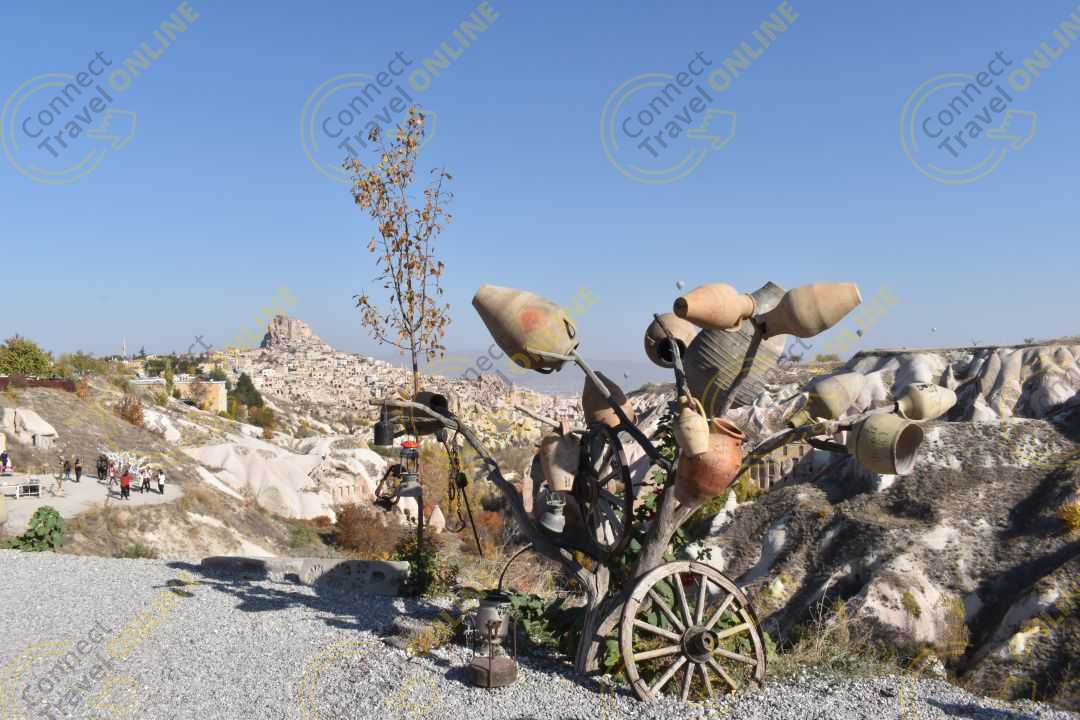 Image_21