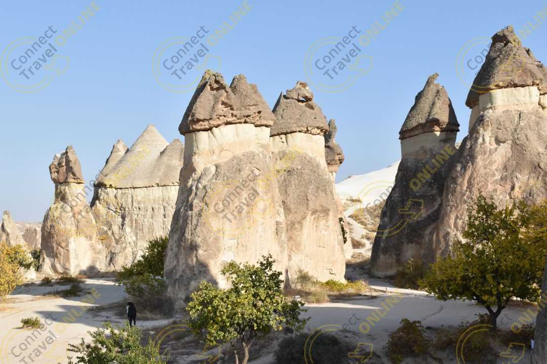 Image_13
