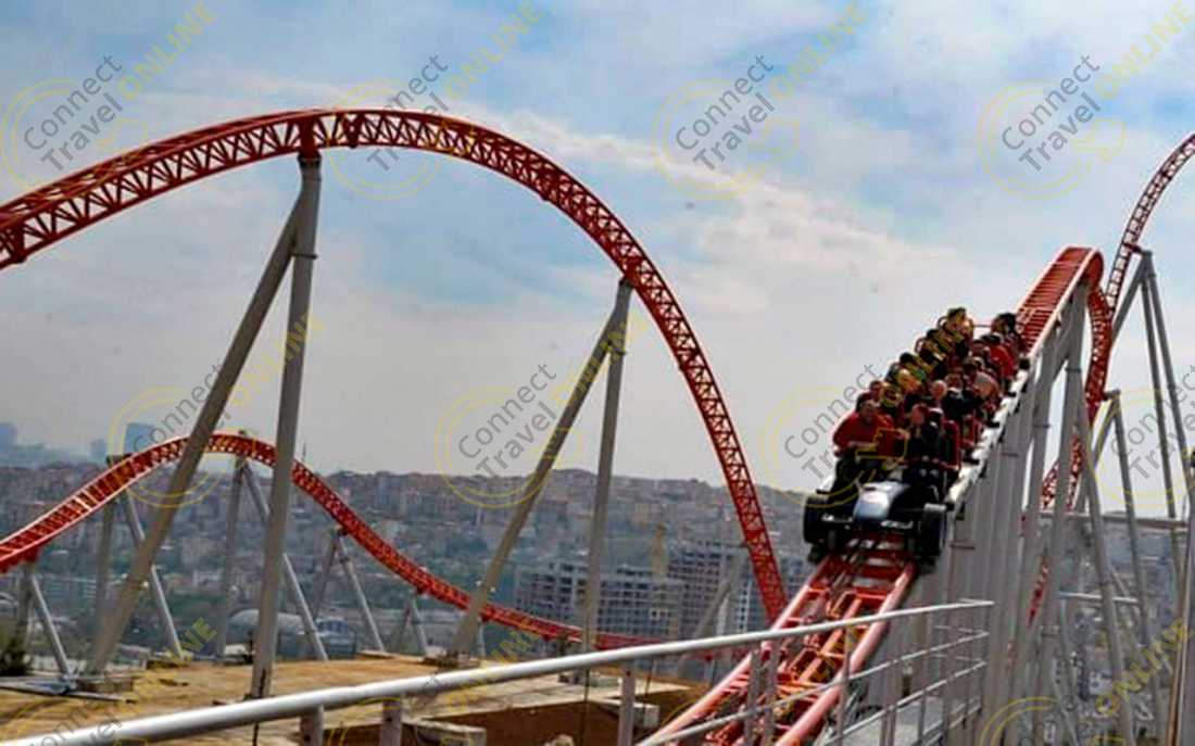 Image_6