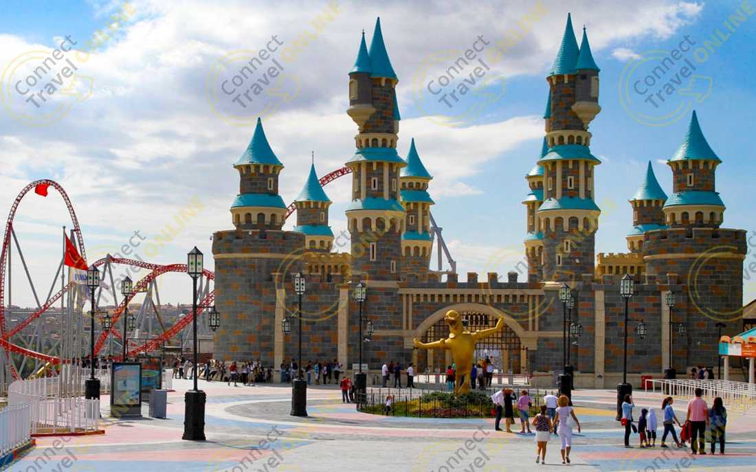 Image_3