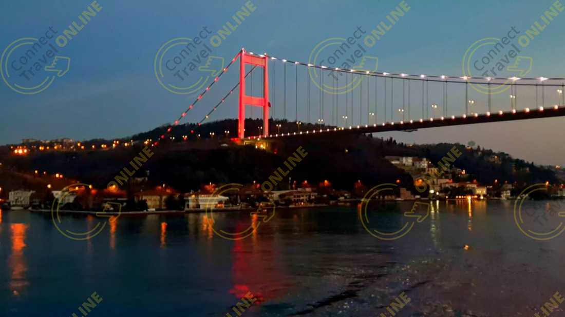 Image_11
