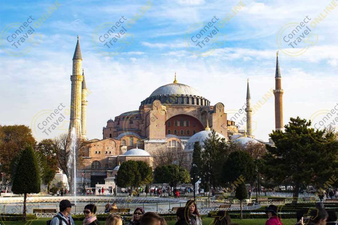 Image_1
