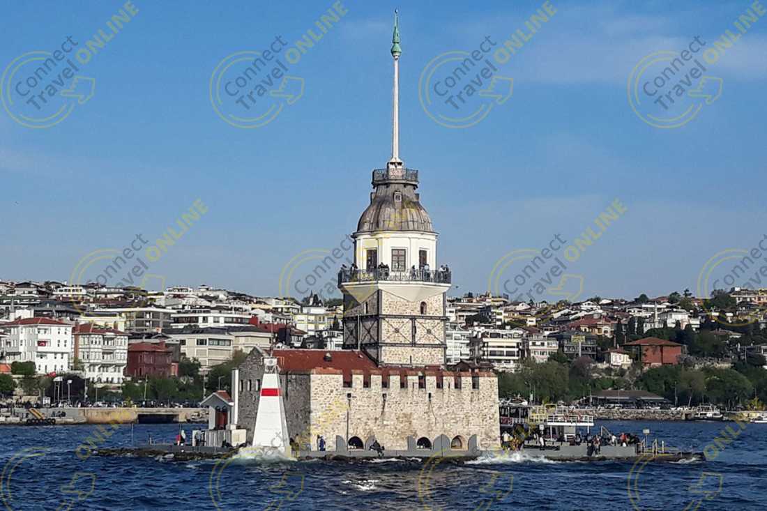Image_6