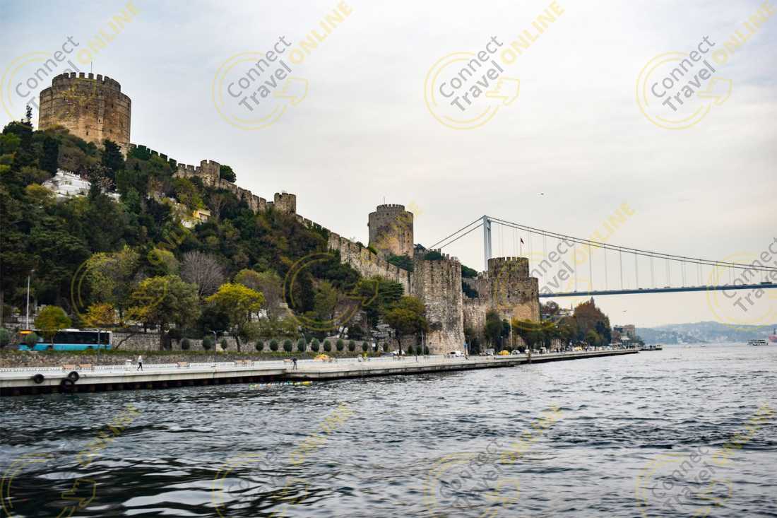 Image_8