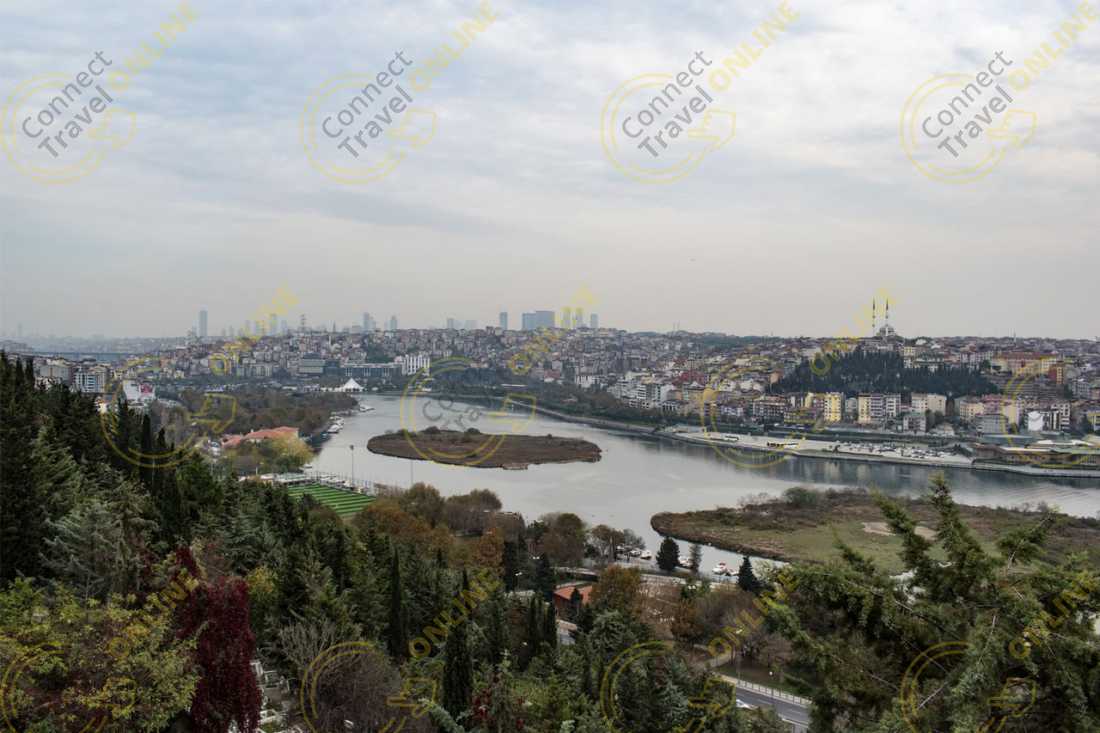 Image_13