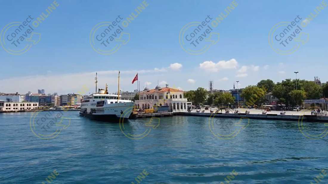 Image_11