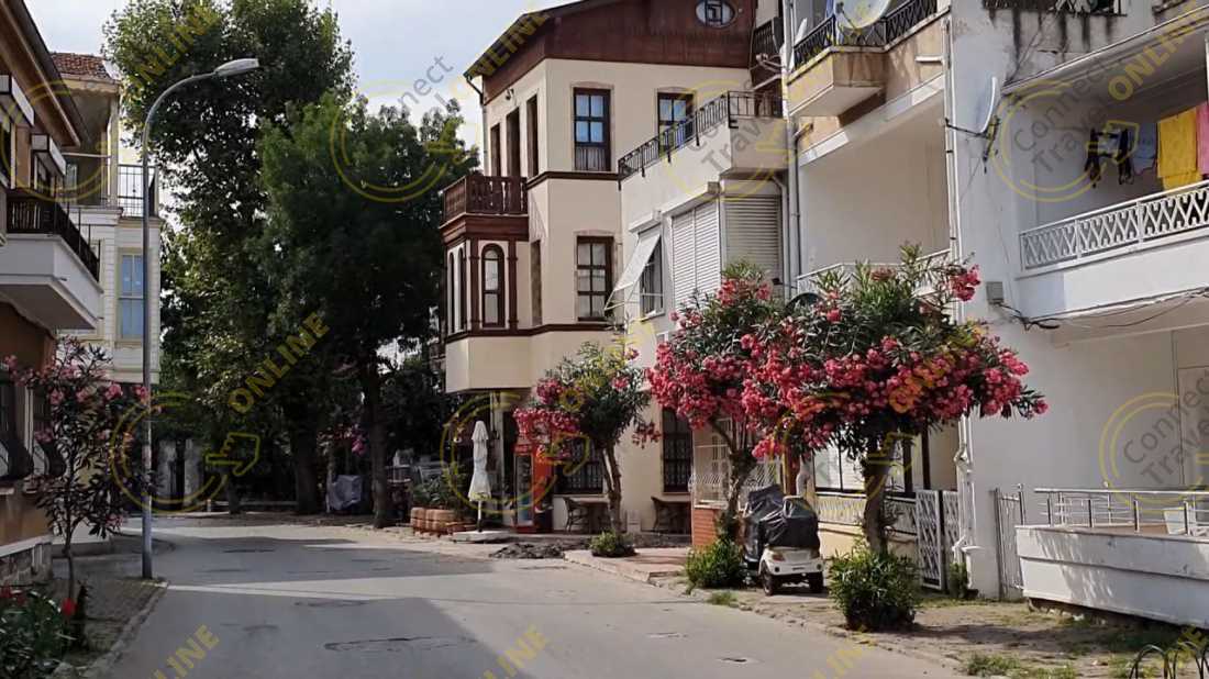 Image_16