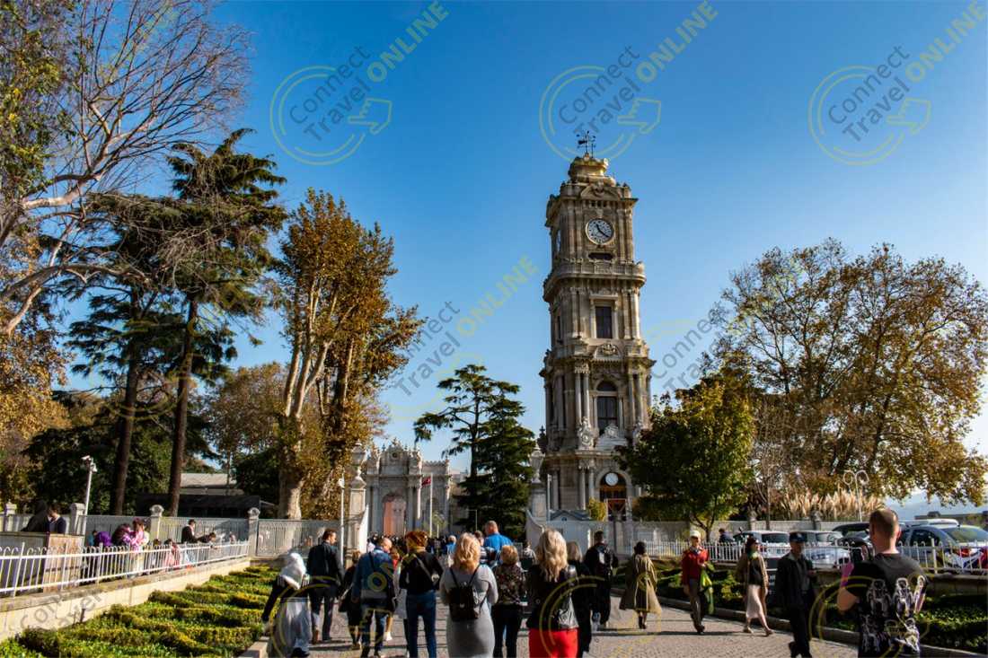 Image_7