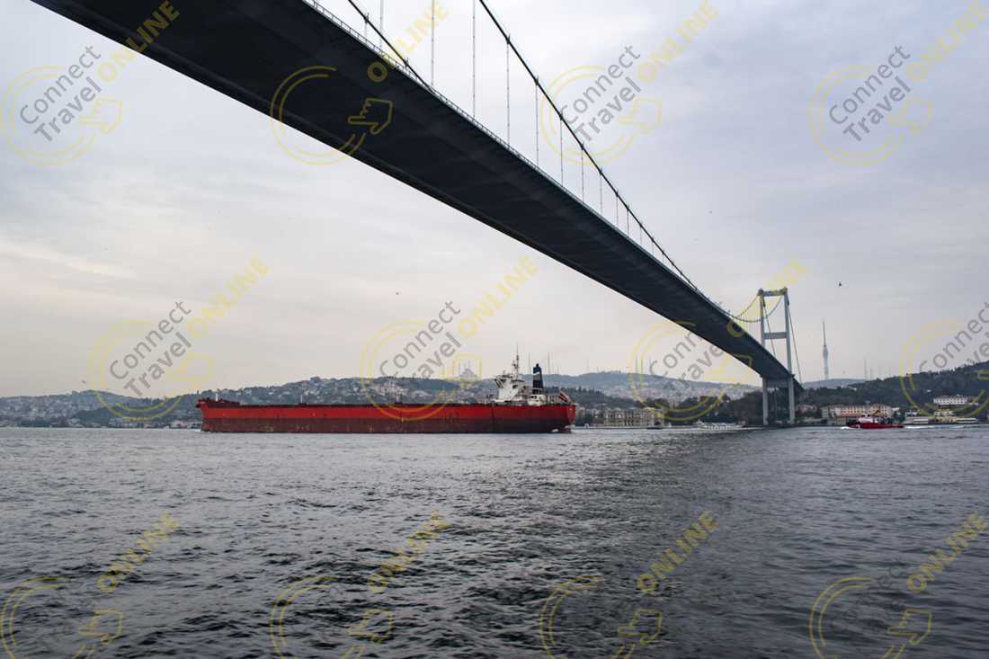 Image_6