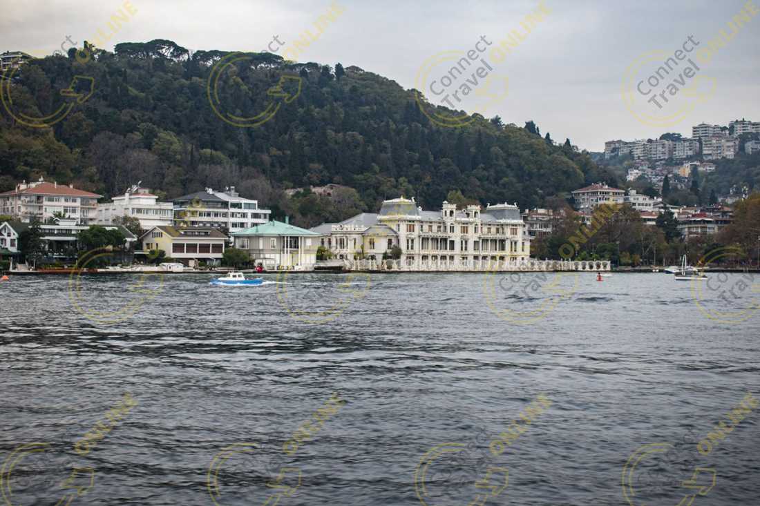Image_7
