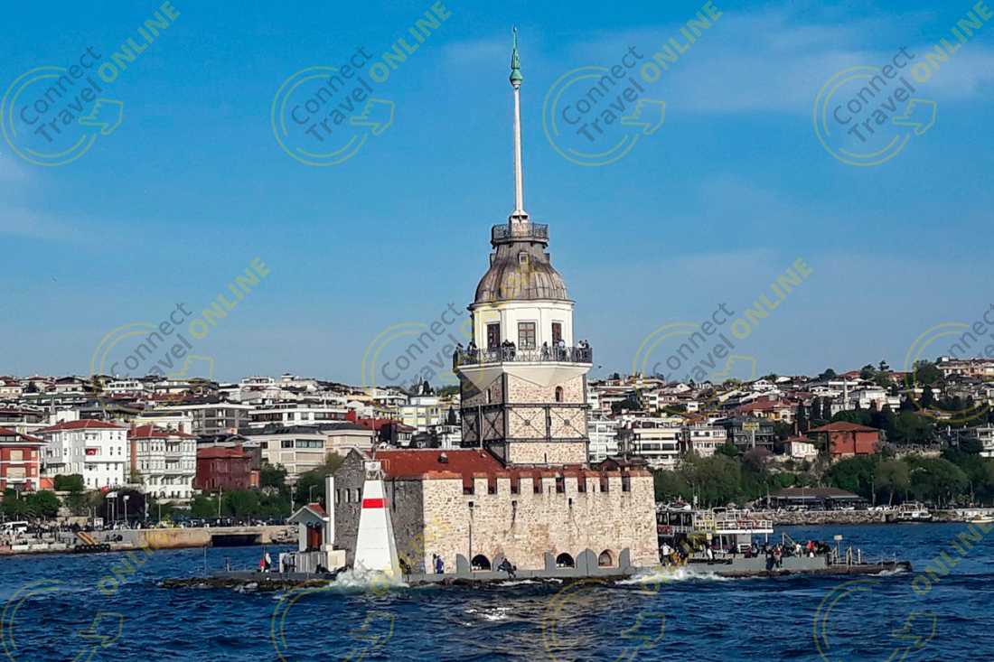 Image_1