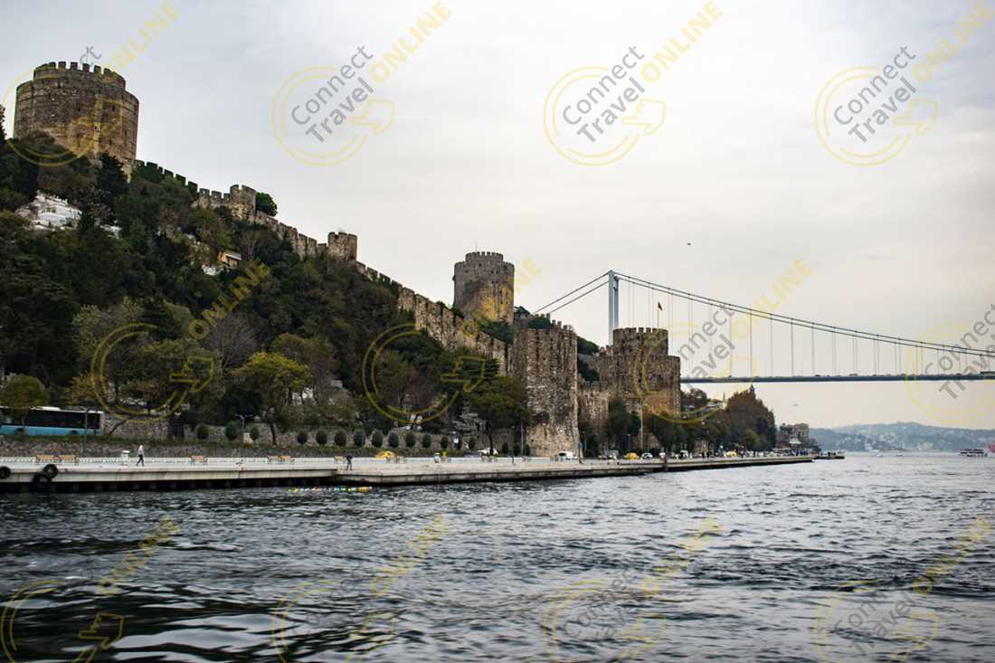Image_8