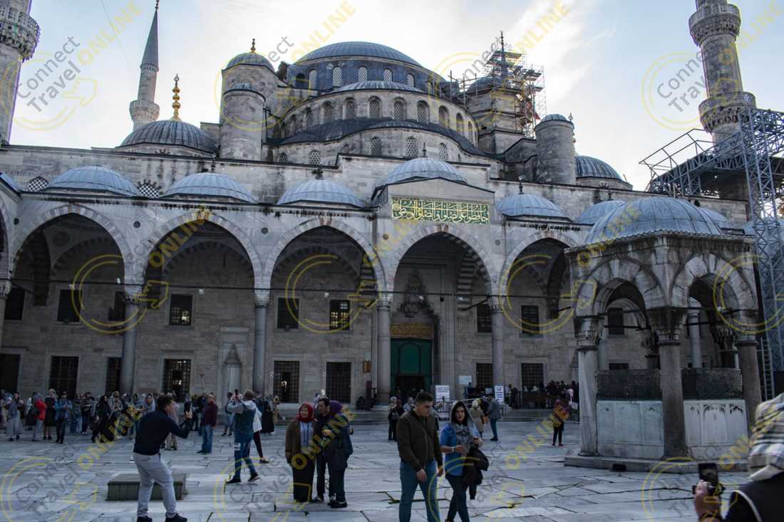 Image_5