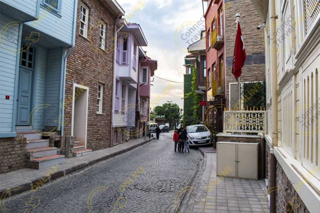 Image_8