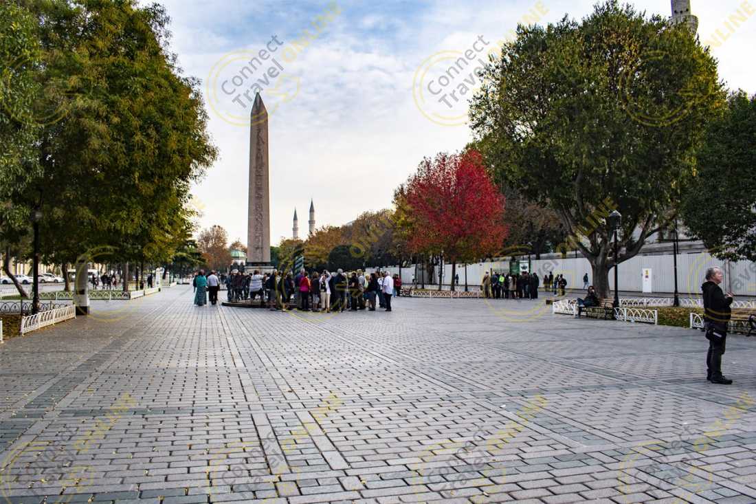 Image_1
