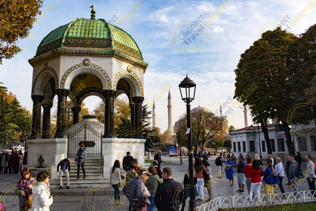 Image_2
