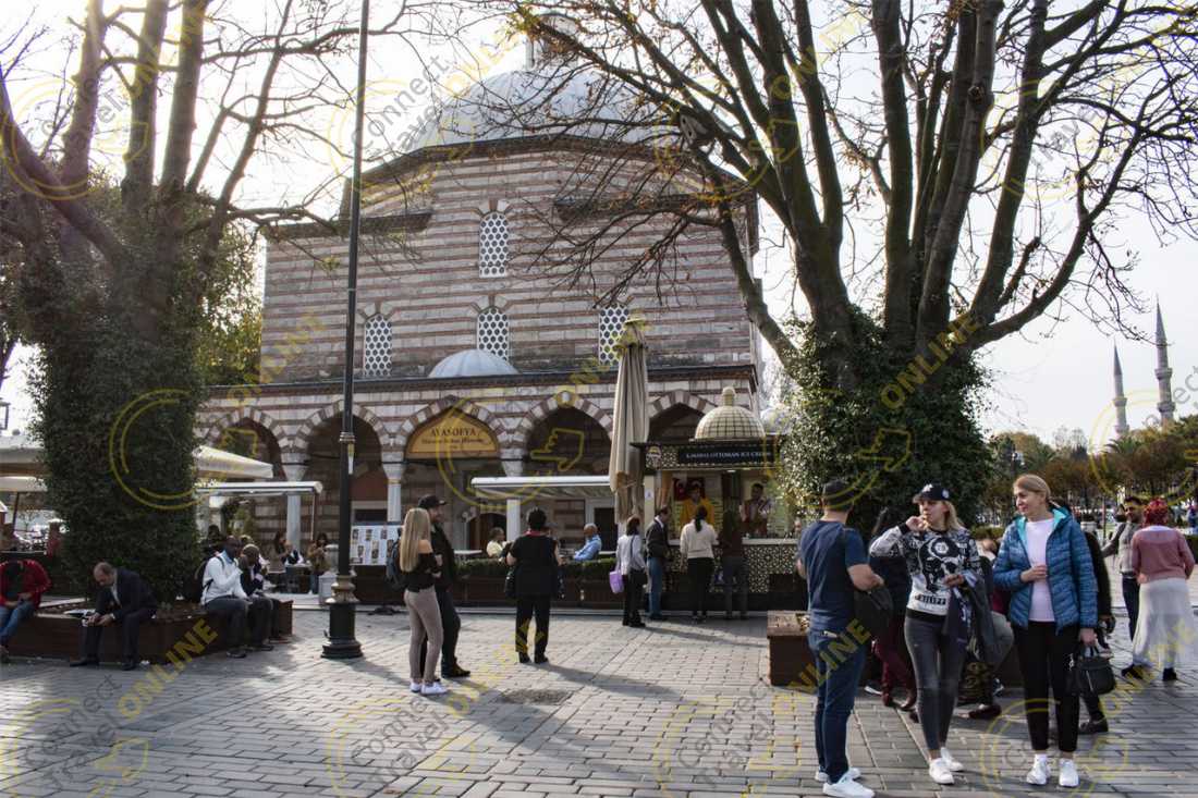 Image_7