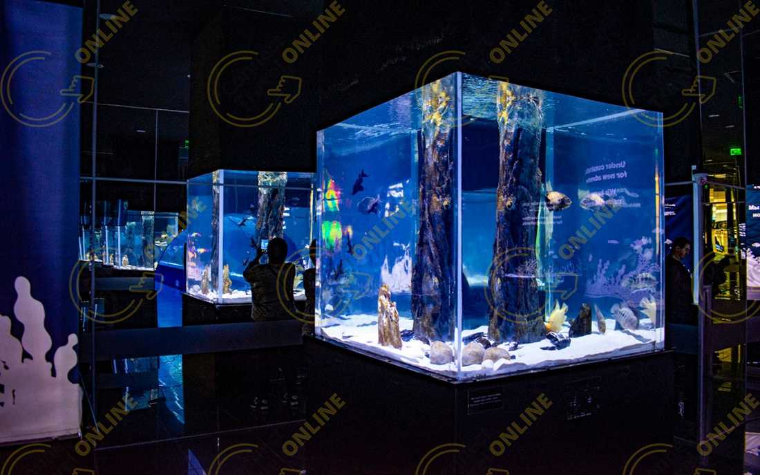 Image_8