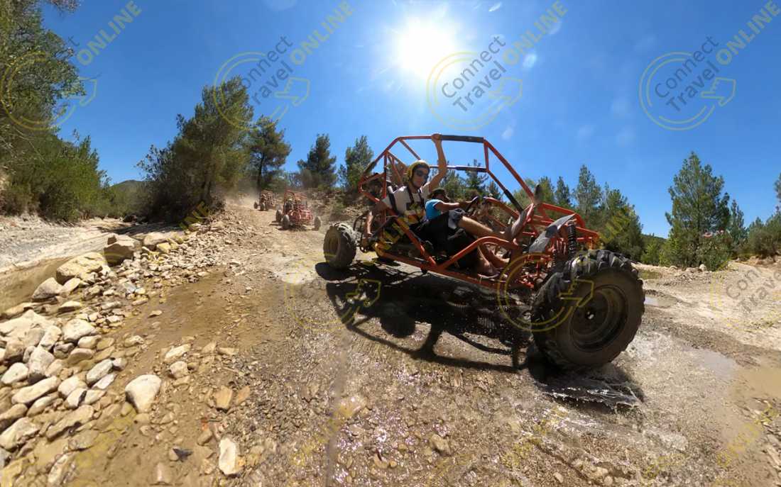 Image_8