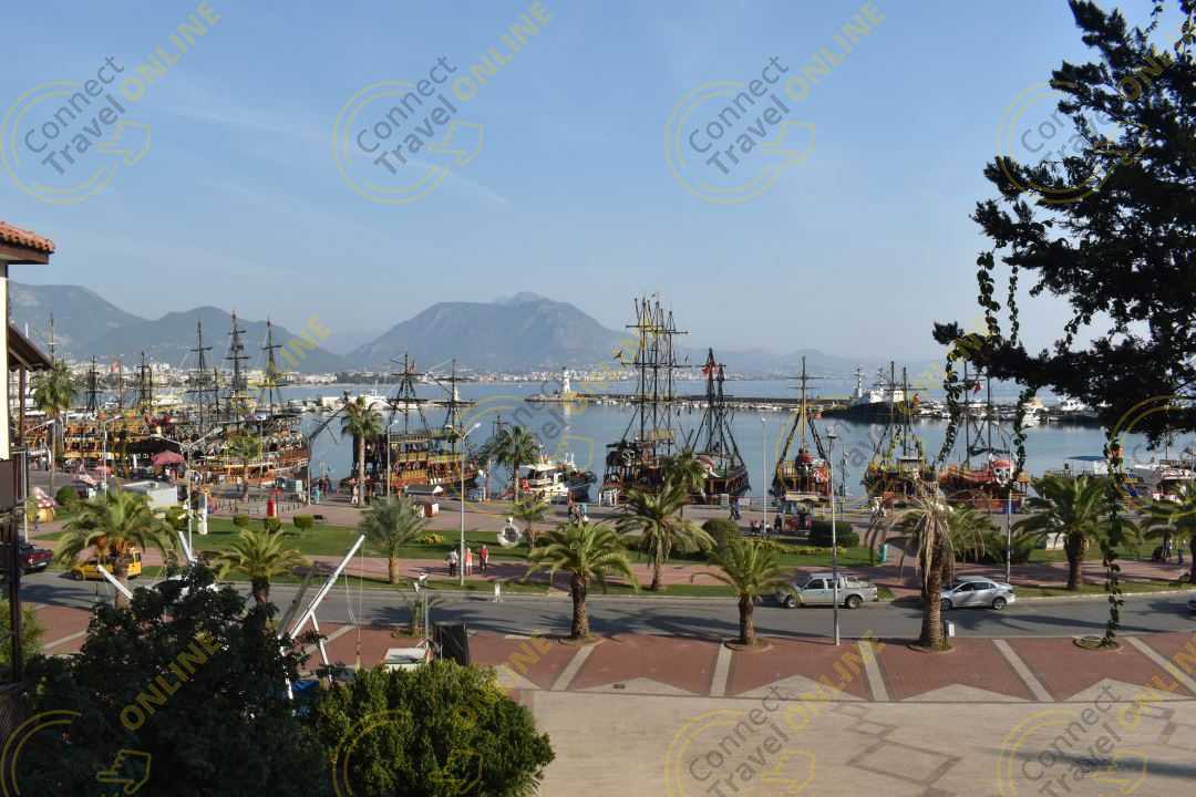 Image_14