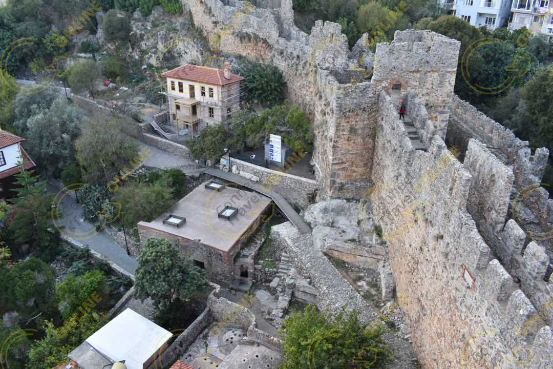 Image_11