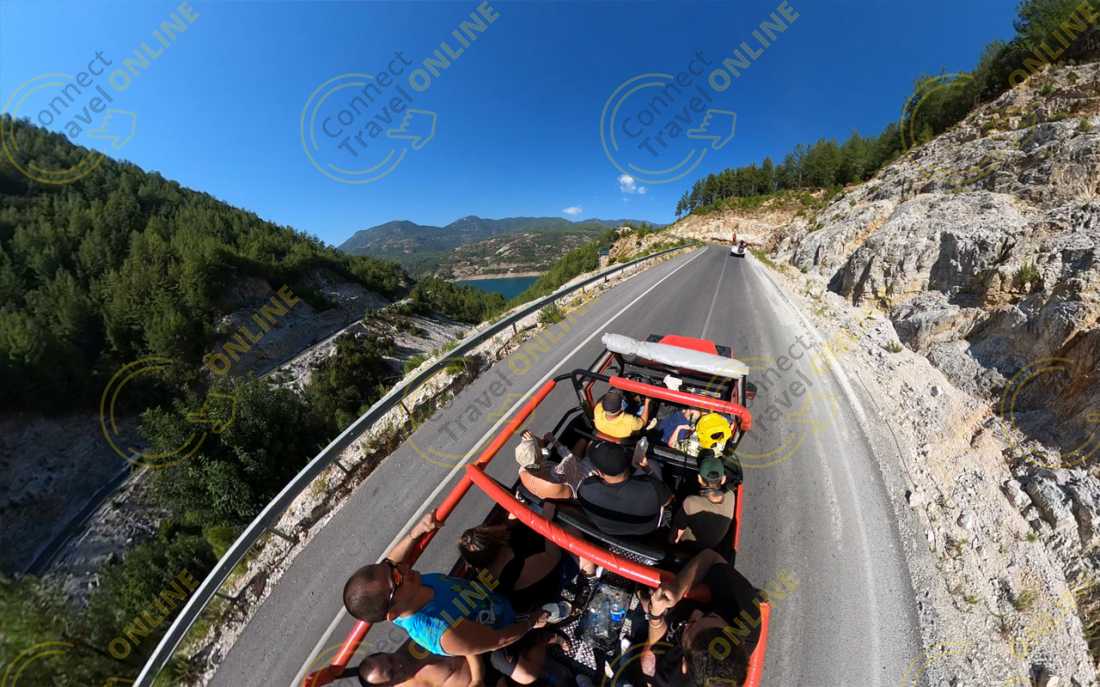 Image_31