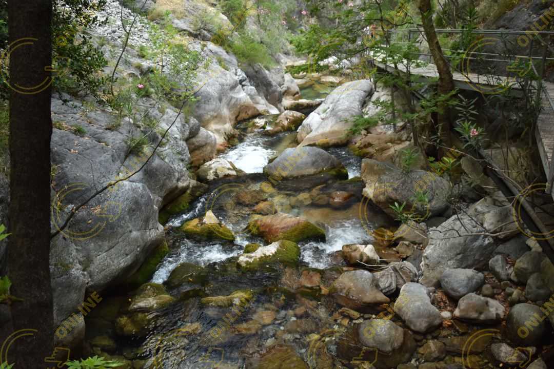 Image_20