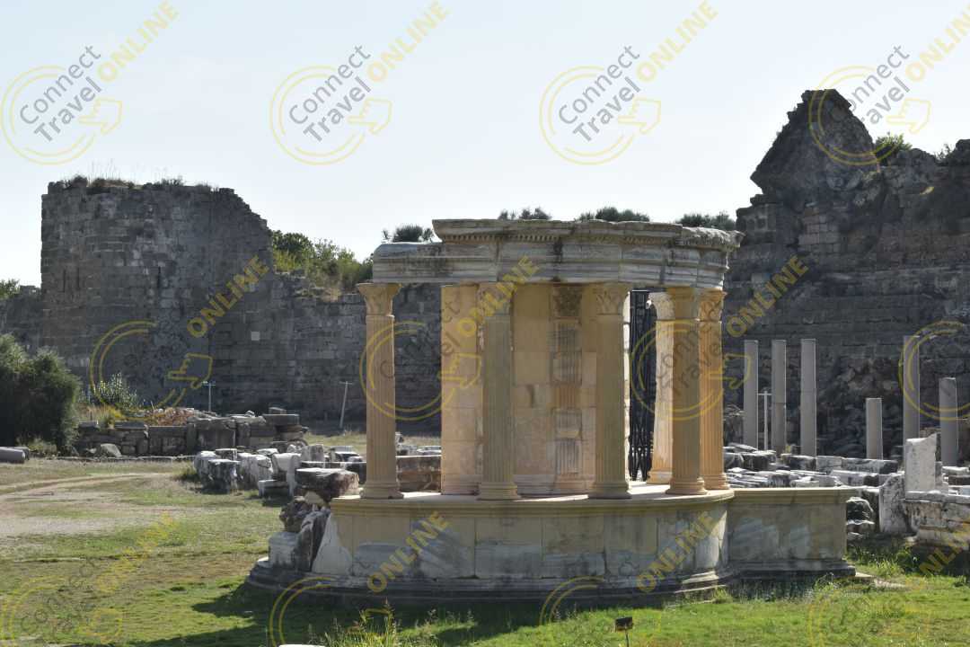 Image_36