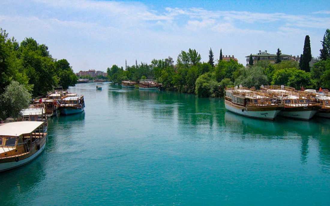 Image_5