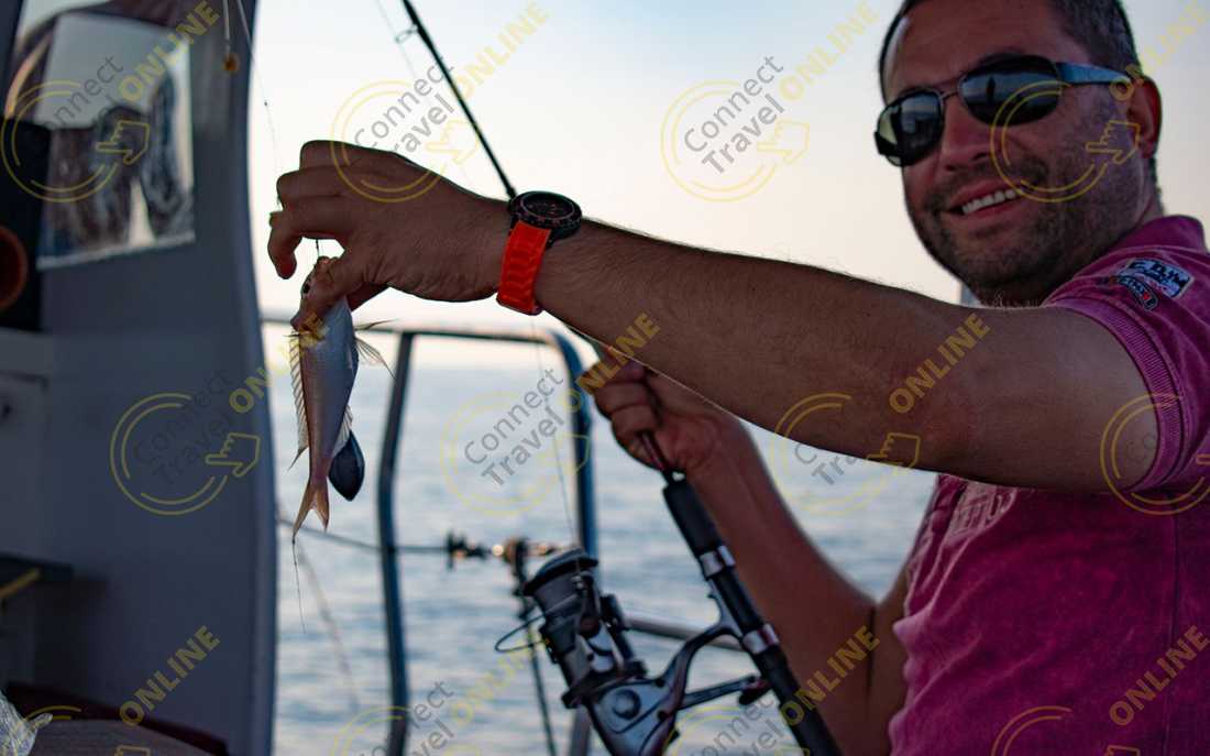 Image_1