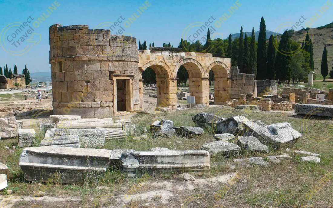 Image_1