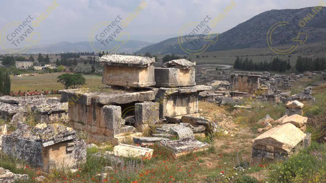 Image_16