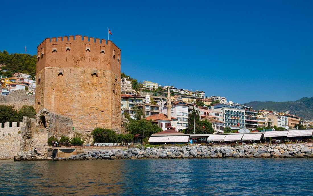 Image_1