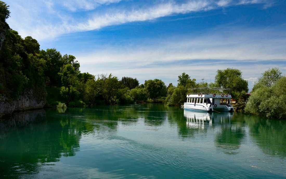 Image_1