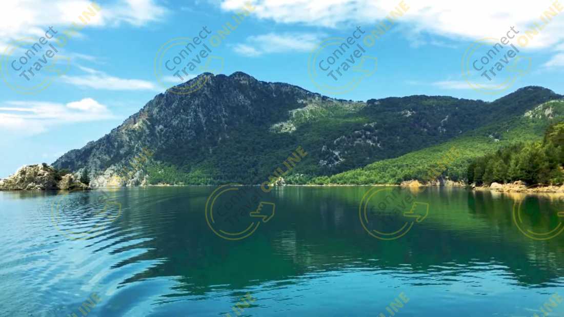 Image_12
