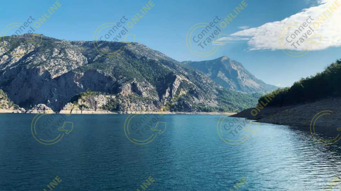 Image_11