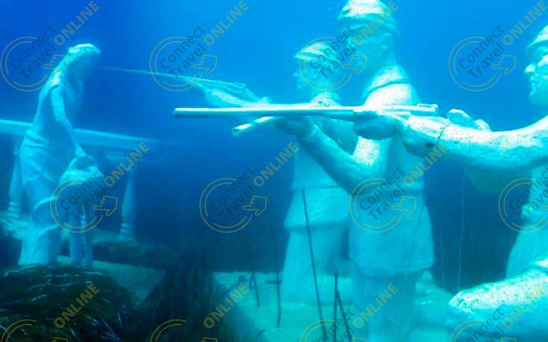 Image_6