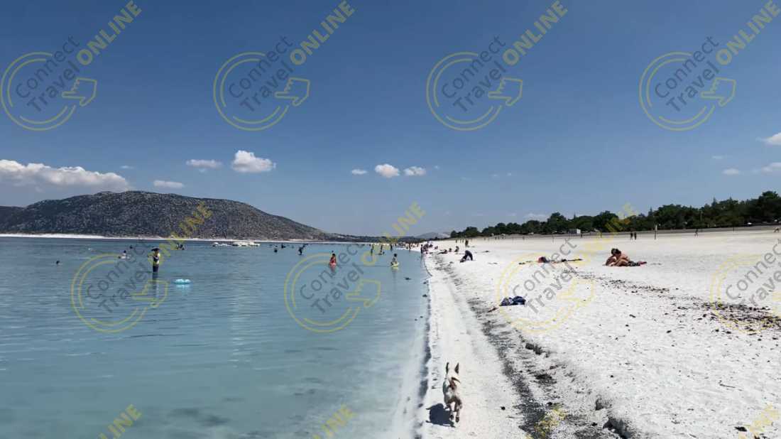 Image_10