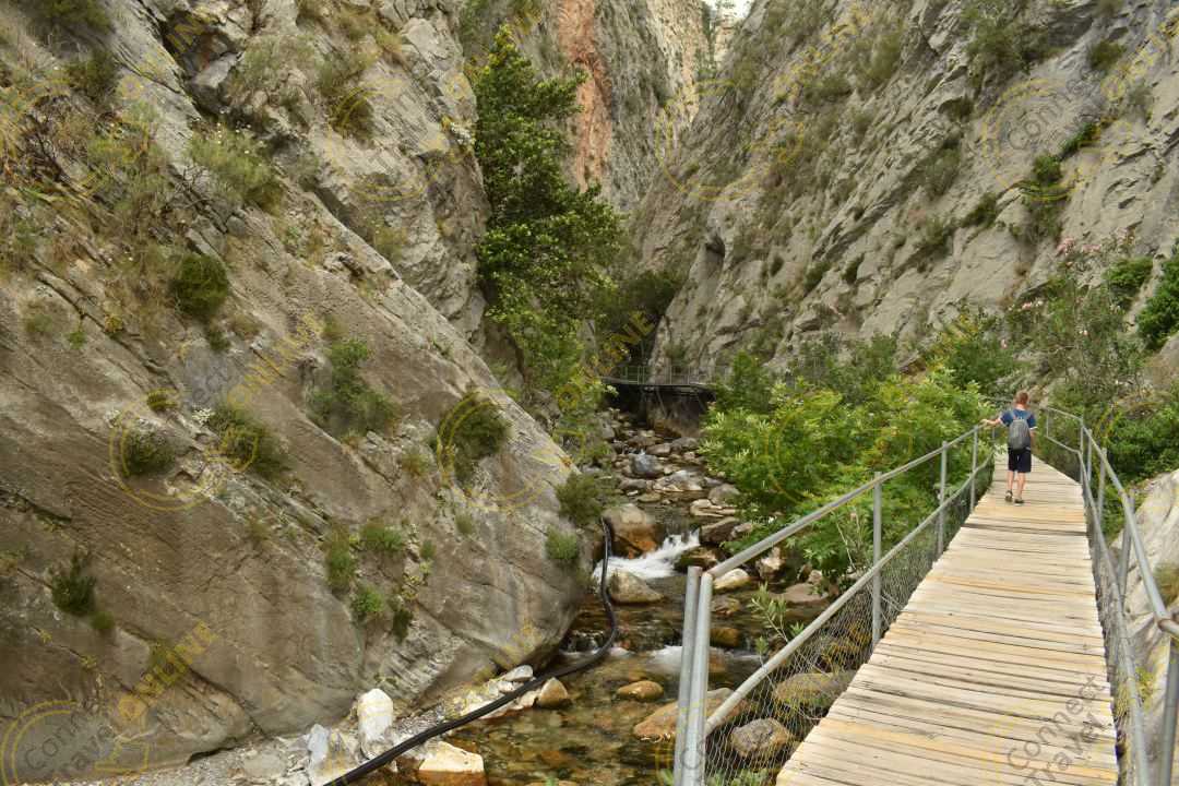 Image_13