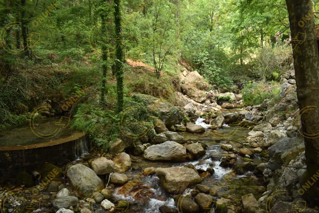 Image_12