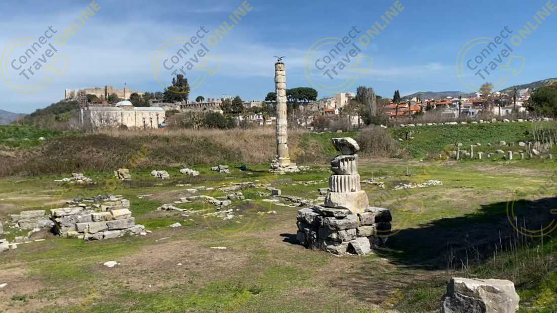 Image_20