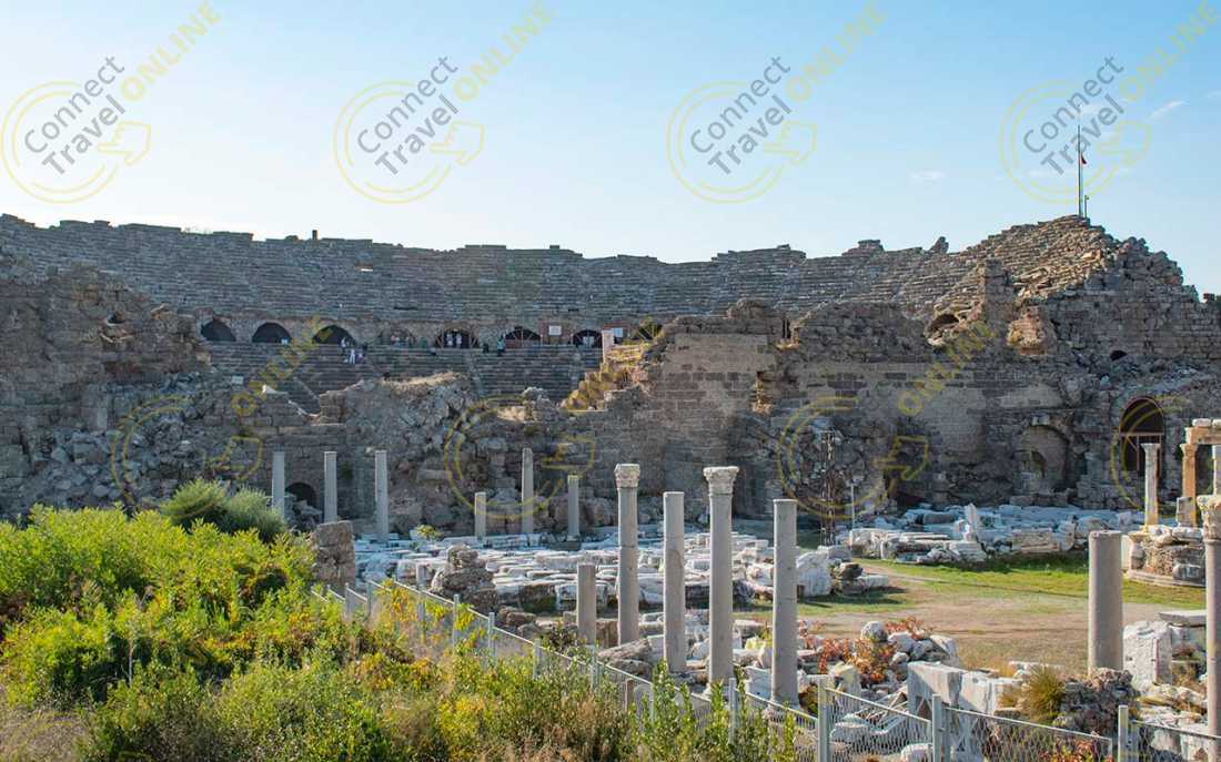 Image_8
