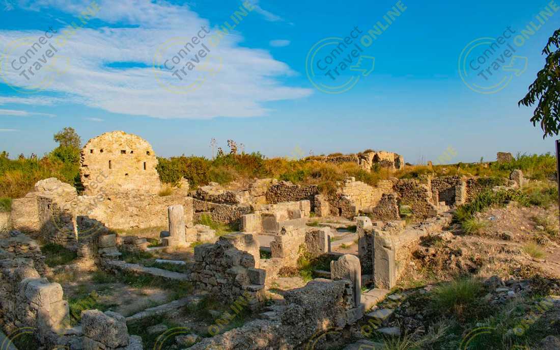 Image_7