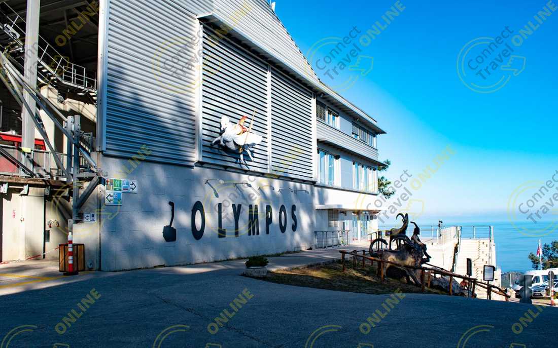 Image_9