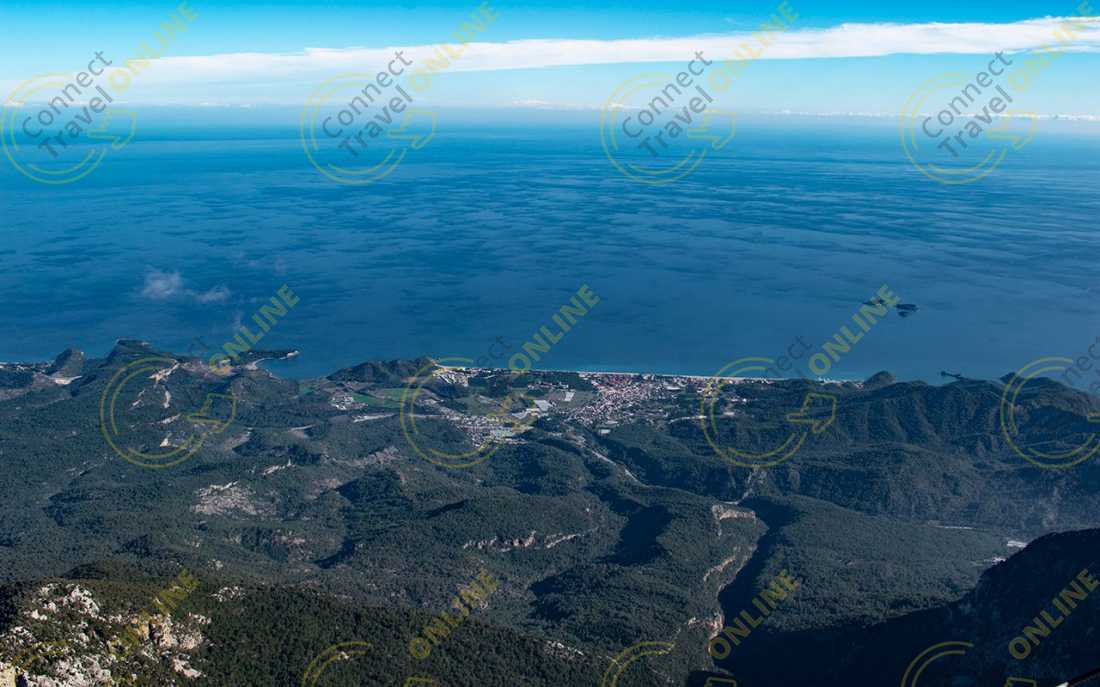 Image_1