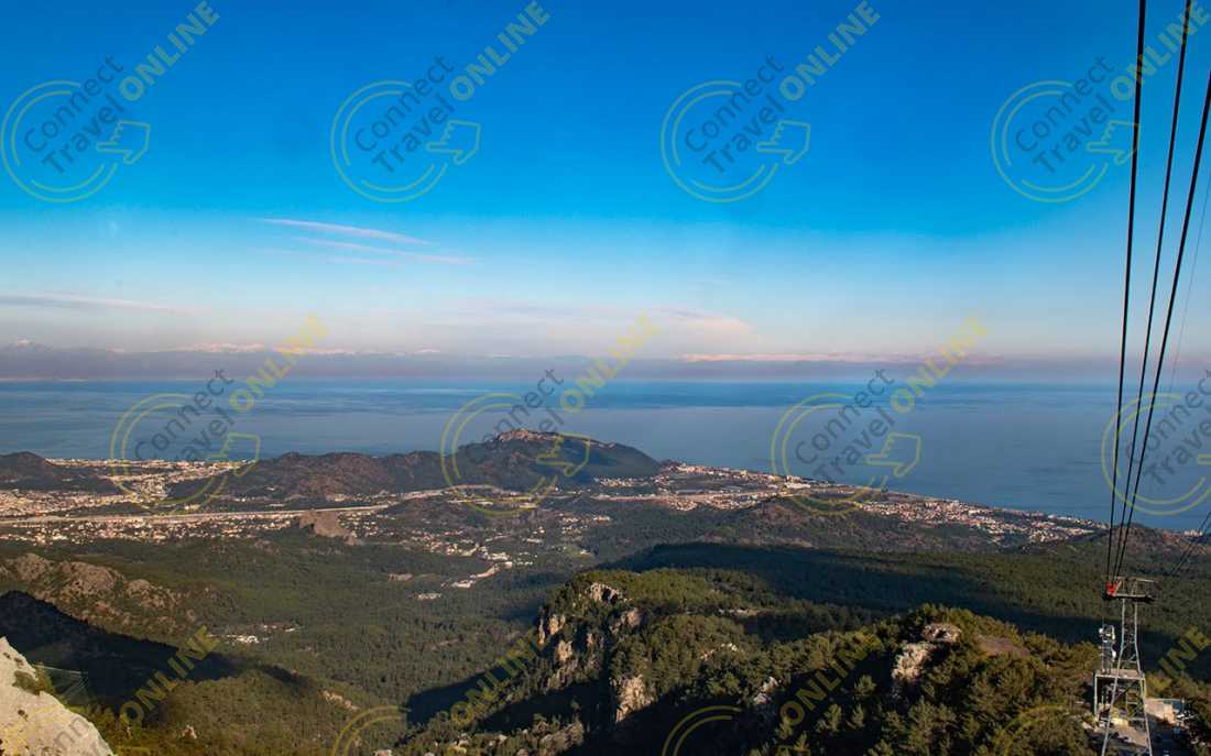 Image_7