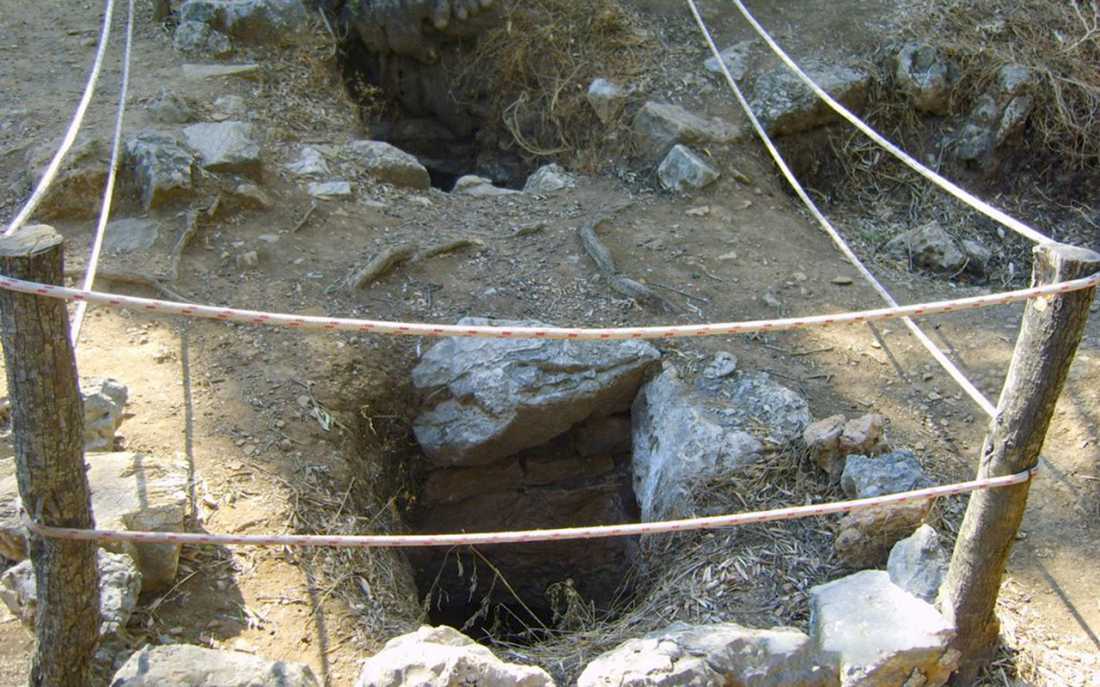 Image_2