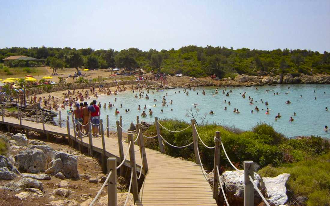 Image_1