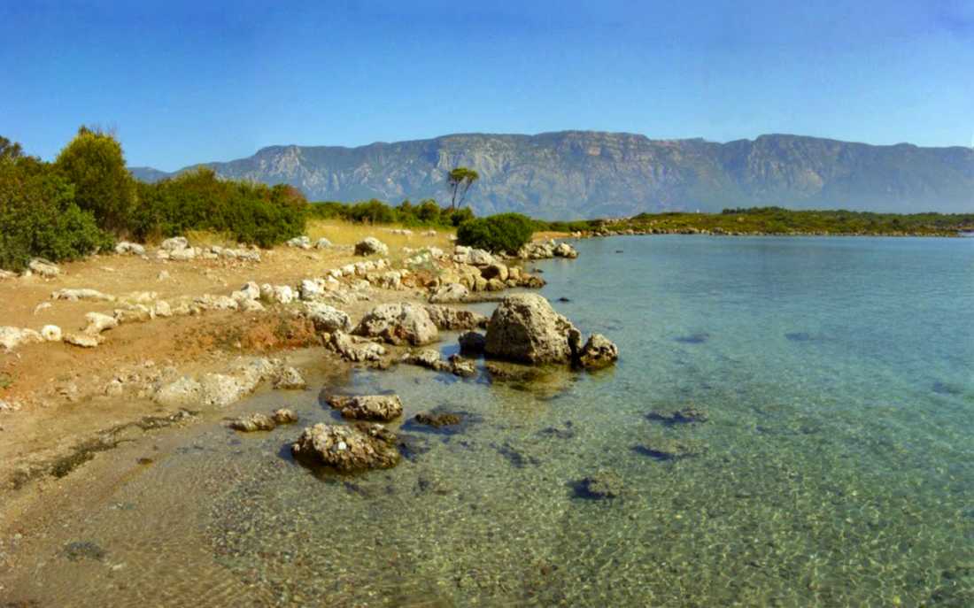 Image_4